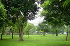 http://daiduongcompany.com.vn/ckfinder/userfiles/images/image022.jpg